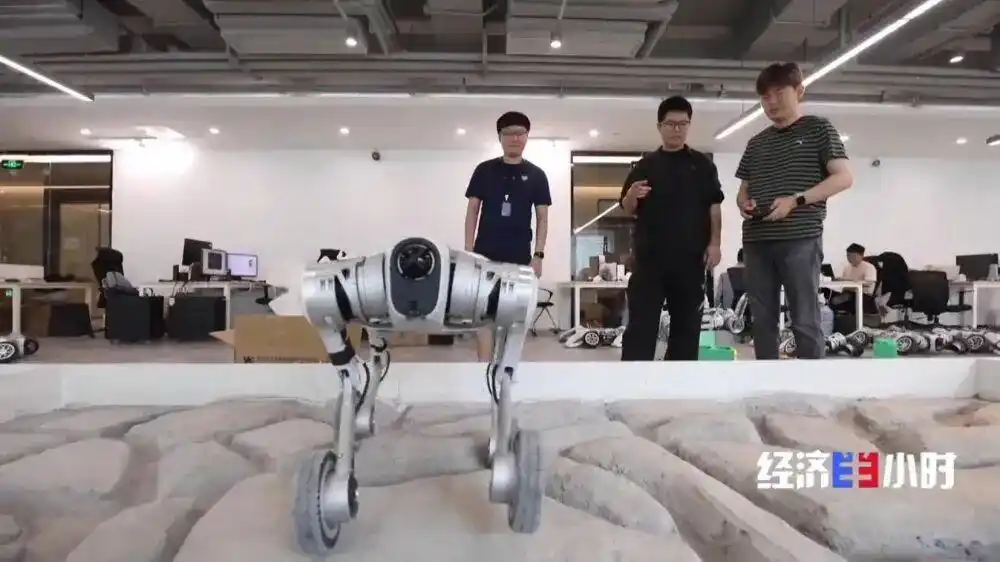 微信图片_20260515152301_197_2.png